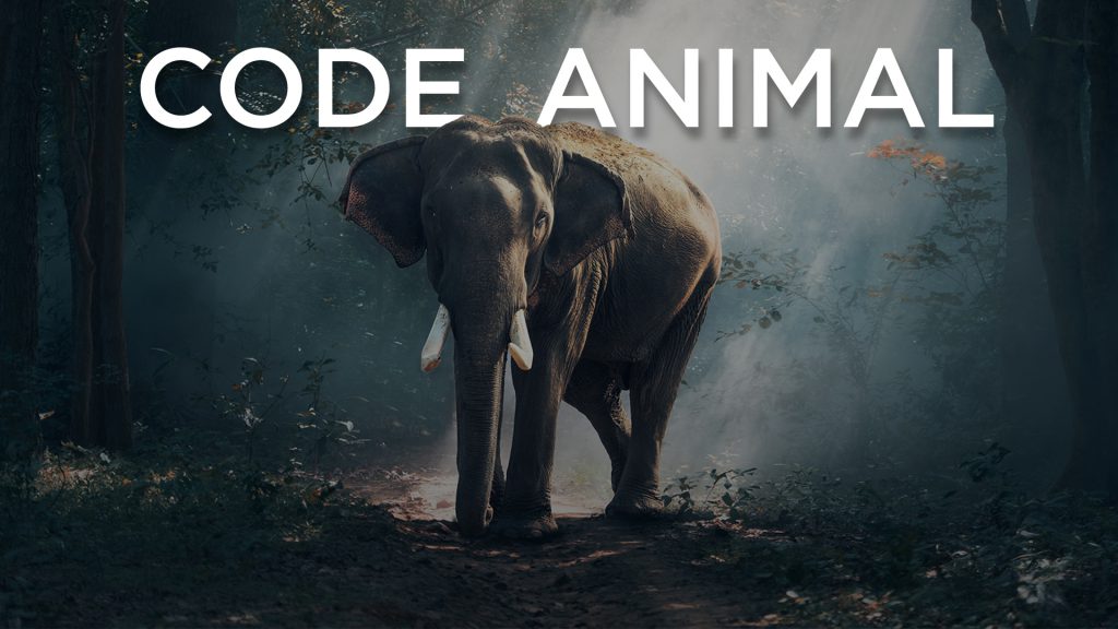 Code animal