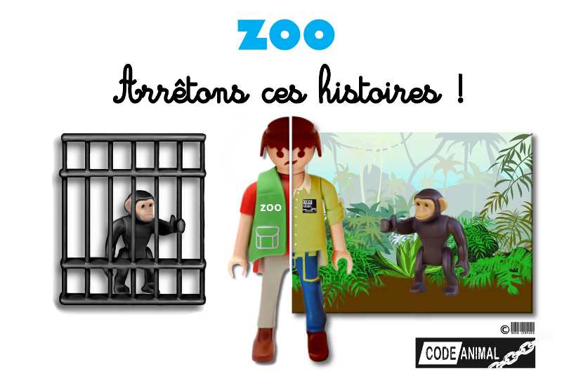 Playmobil : apprendre à exploiter en s'amusant - Code animal