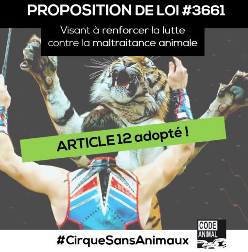 Tournant majeur pour la cause animale en France Une proposition de loi Animaux est votée à l
